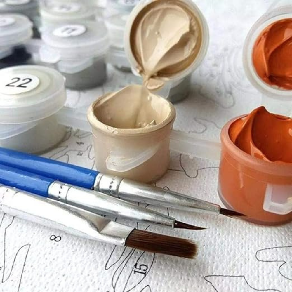 Paint by Numbers Customized