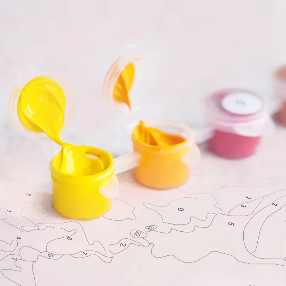 Paint by Numbers Customized