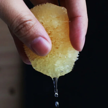 AquaSponge – Natural Greek Sponge for Watercolor Painting