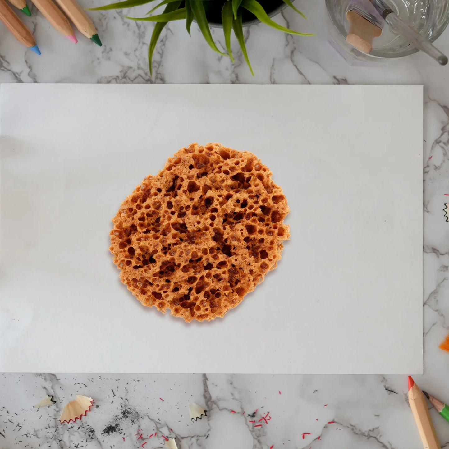 AquaTexture – Versatile Sea Sponge for Painting