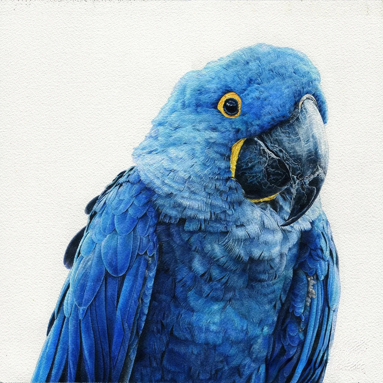 Aquarell – 12-Color Professional Watercolor Wooden Box Set