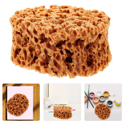 AquaTexture – Versatile Sea Sponge for Painting