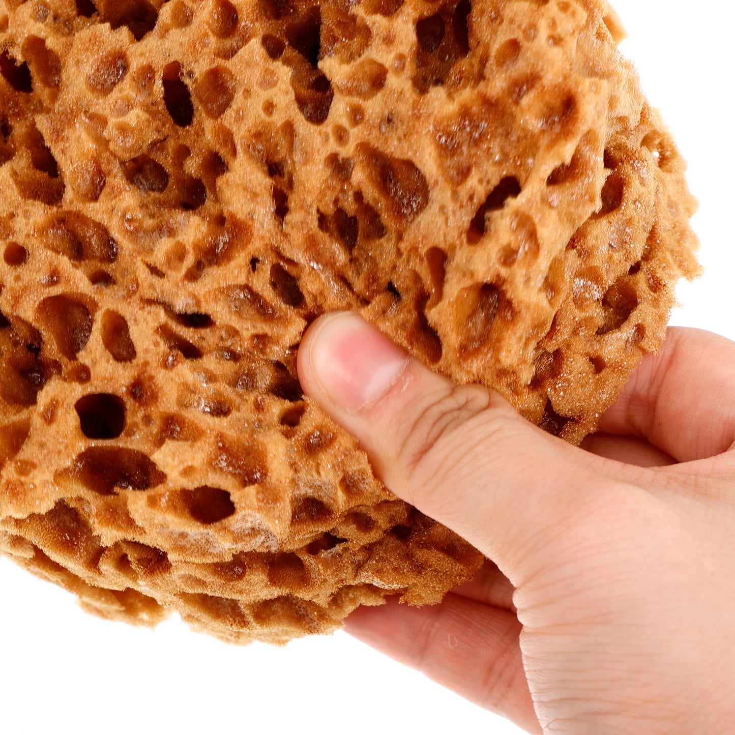 AquaTexture – Versatile Sea Sponge for Painting