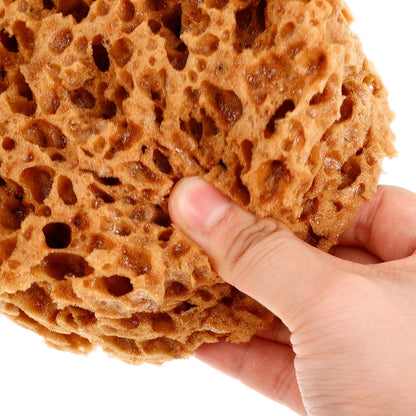AquaTexture – Versatile Sea Sponge for Painting