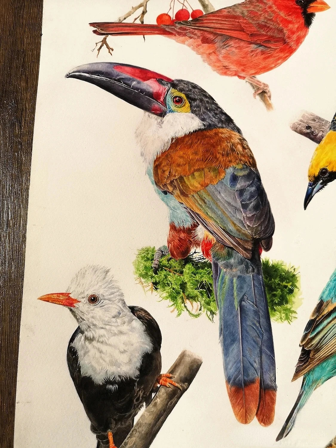 Aquarell – 12-Color Professional Watercolor Wooden Box Set