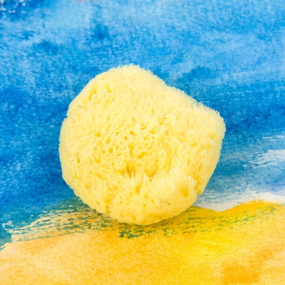AquaSponge – Natural Greek Sponge for Watercolor Painting