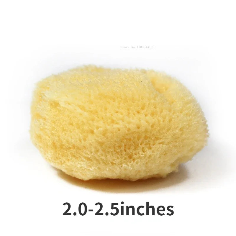 AquaSponge – Natural Greek Sponge for Watercolor Painting