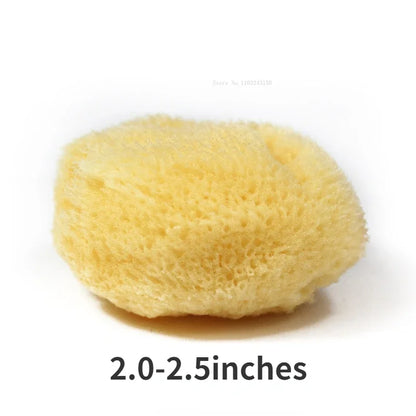 AquaSponge – Natural Greek Sponge for Watercolor Painting