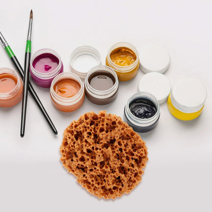 AquaTexture – Versatile Sea Sponge for Painting