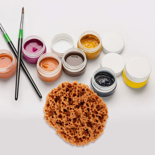 AquaTexture – Versatile Sea Sponge for Painting