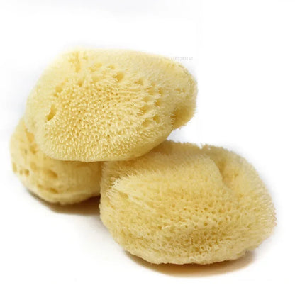 AquaSponge – Natural Greek Sponge for Watercolor Painting